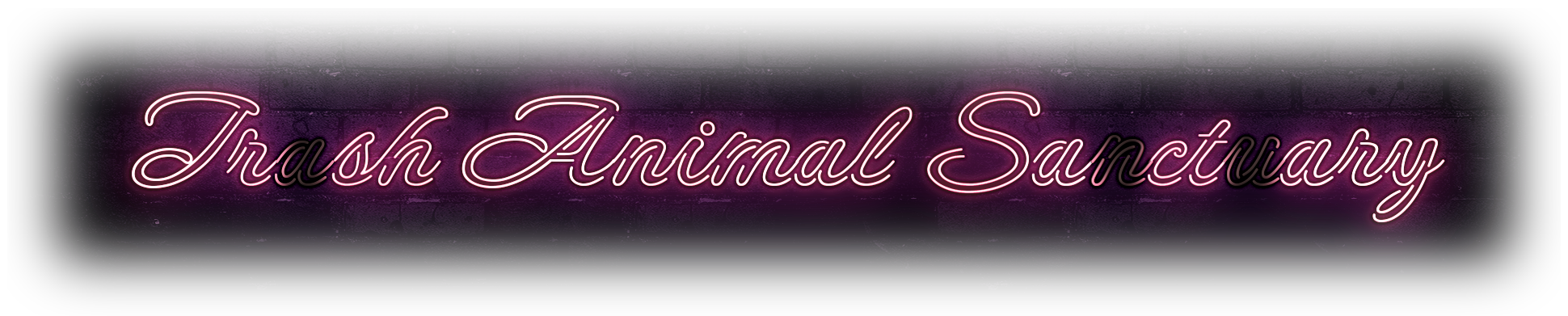 The Trash Animal Sanctuary